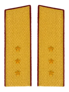 Погоны Росгвардии ФСВНГ парадные золотые Скос 16х5,5 см картон звание Старший Прапорщик