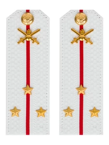 Погоны МО Сухопутные войска белые звание Старший Лейтенант Картон