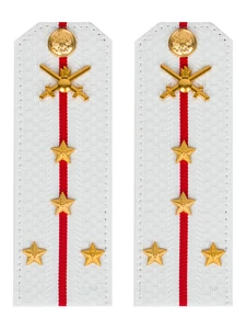 Погоны МО Сухопутные войска белые звание Капитан Картон