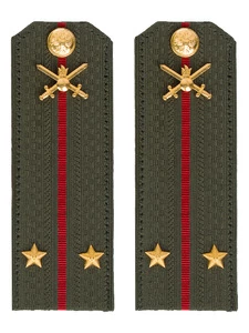 Погоны МО Сухопутные войска зеленые звание Лейтенант Картон