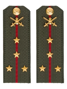 Погоны МО Сухопутные войска зеленые звание Капитан Картон