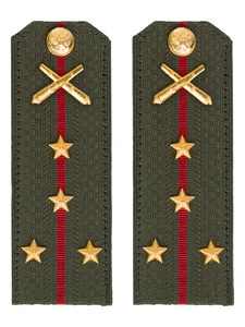 Погоны МО РВиА зеленые звание Капитан Картон