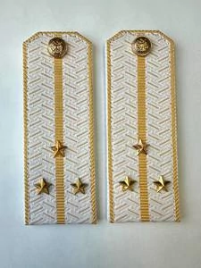 Погоны Таможенной службы белые картон звание Старший Лейтенант