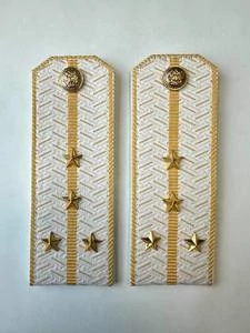 Погоны Таможенной службы белые картон звание Капитан