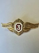 Нагрудный знак Классность Росгвардии для рядовых Классный специалист 3 класс