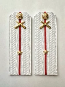 Погоны МО РВиА белые звание Младший Лейтенант Картон