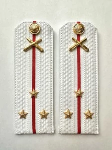 Погоны МО РВиА белые звание Старший Лейтенант Картон