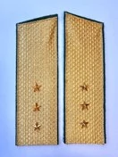 Погоны Пограничной службы в сборе картон Старший Прапорщик золотые Скос Скос 17см