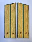 Погоны Пограничной службы ПС ФСБ в сборе картон Лейтенант золотые Скос 17см