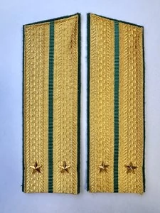 Погоны Пограничной службы ПС ФСБ в сборе картон Лейтенант золотые Скос 17см