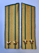 Погоны Пограничной службы в сборе картон Подполковник золотые Скос 17см