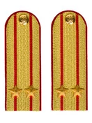 Погоны МВД парадные звание Подполковник цвет золотой 13 см
