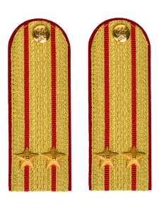 Погоны МВД парадные звание Подполковник цвет золотой 13 см