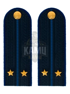 Погоны Юстиции в сборе на китель картон 13 см звание Лейтенант
