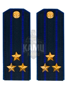 Погоны ФСБ на китель цвет синий картон, звание Полковник 14х5,5см