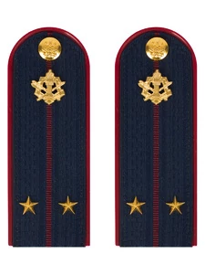 Погоны ФСИН на куртку ПЛАСТИК, звание Лейтенант 14х5,5см