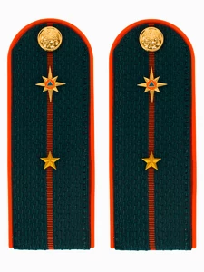 Погоны МЧС на куртку 14х5см ПЛАСТИК (в сборе) укомплектованные с фурнитурой звание Мл. лейтенант