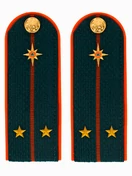 Погоны МЧС на куртку ПЛАСТИК (в сборе) укомплектованные с фурнитурой звание Лейтенант 14х5 см