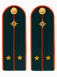 Погоны МЧС на куртку ПЛАСТИК (в сборе) укомплектованные с фурнитурой звание Лейтенант 14х5 см