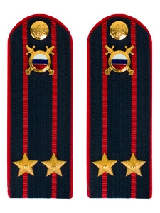 Погоны МВД внутренняя служба на куртку темно-синие картон звание Подполковник 14см