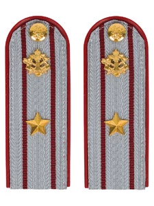 Погоны ФСИН на рубашку ПЛАСТИК, звание Майор цвет серый 14х5 см