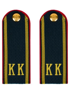 Погоны Полиции МВД кадетские КК 13см картон в сборе с фурнитурой