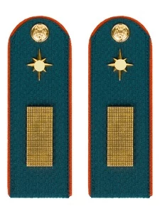 Погоны МЧС Старшина Картон