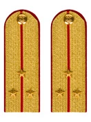 Погоны МВД парадные звание Старший Лейтенант цвет золотой