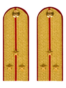 Погоны МВД парадные звание Старший Лейтенант цвет золотой