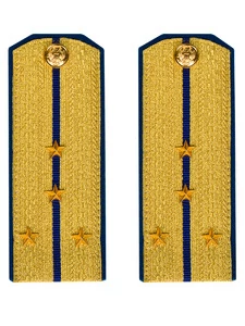 Погоны парадные ФСБ золотые картон звание Капитан