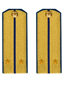 Погоны парадные ФСБ золотые картон звание Лейтенант