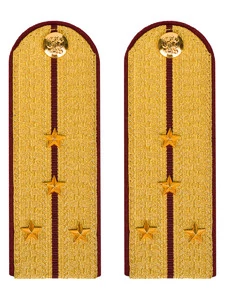 Погоны ФСИН парадные Капитан картон цвет золотой