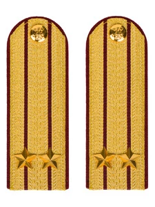 Погоны ФСИН парадные Подполковник картон цвет золотой