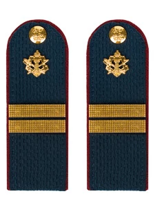 Погоны ФСИН звание Младший Сержант картон цвет темно-синий 14х5 см