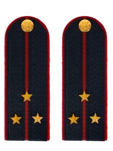 Погоны Полиция в сборе на китель темно-синие Старший лейтенант картон 13см Пришивные