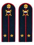 Погоны МВД внутренняя служба на куртку темно-синие картон звание Лейтенант 13см