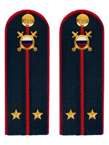 Погоны МВД внутренняя служба на куртку темно-синие картон звание Лейтенант 13см