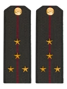 Погоны Росгвардии ФСВНГ на китель 14х5 см ПЛАСТИК звание Капитан