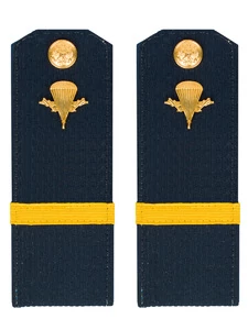 Погоны ВДВ с фурнитурой синие с желтым галуном Ефрейтор Пластиковые