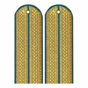 Погоны ФССП парадные золотые 1 просвет картон
