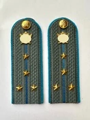 Погоны ФССП с фурнитурой серые звание Капитан картон 14х4,5см с Голубым кантом