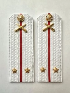 Погоны МО РВиА белые звание Лейтенант Картон