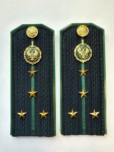 Погоны Пограничной службы ПС ФСБ в сборе на куртку Капитан ПЛАСТИК