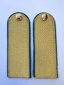 Погоны ФССП парадные золотые с фурнитурой без просвета