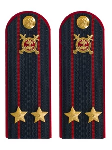 Погоны Полиции картон темно-синие Подполковник 15см