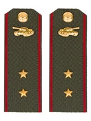 Погоны МО Танковые войска зеленые звание Прапорщик Пластик