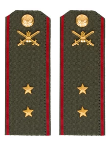 Погоны МО Сухопутные войска зеленые звание Прапорщик Пластик