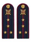 Погоны Полиции картон (в сборе) укомплектованные с фурнитурой темно-синие Капитан 12 см