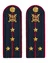Погоны Полиции картон (в сборе) укомплектованные с фурнитурой темно-синие Капитан 12 см