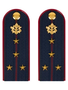 Погоны ФСИН на куртку ПЛАСТИК, звание Капитан 14х5,5см